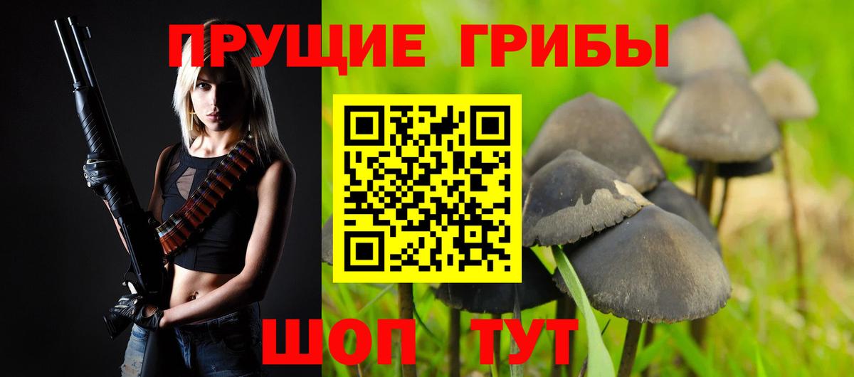 Псилоцибиновые грибы Psilocybe  дарнет шоп  Добрянка  Вход с VPN  Псилоцибиновые грибы прущие грибы 