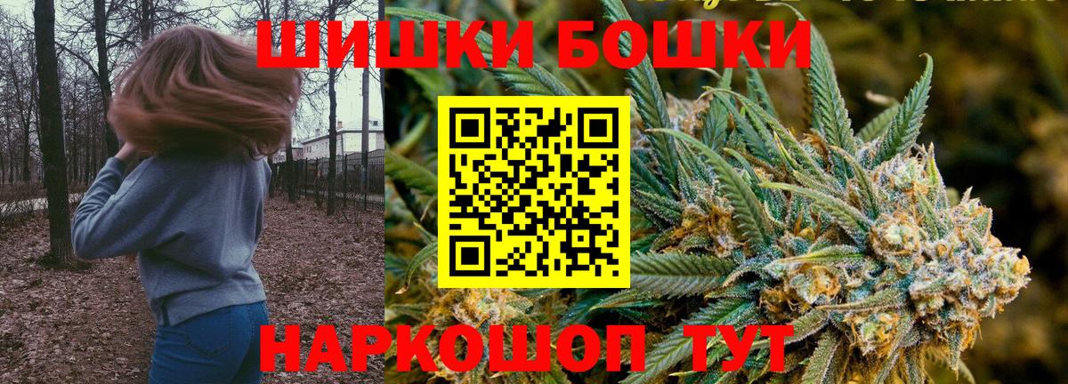 Каннабис сатива Добрянка
